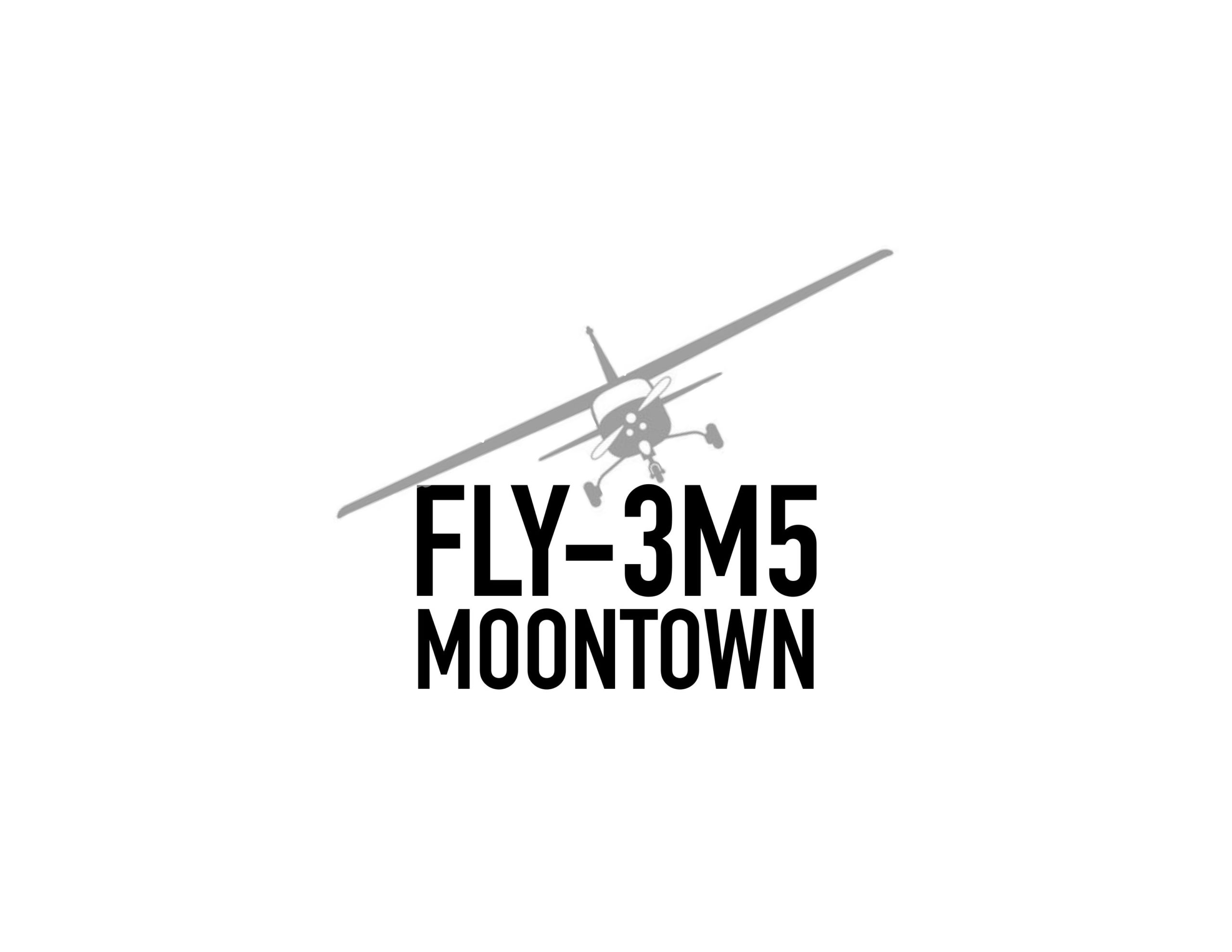 Moontown Airport 